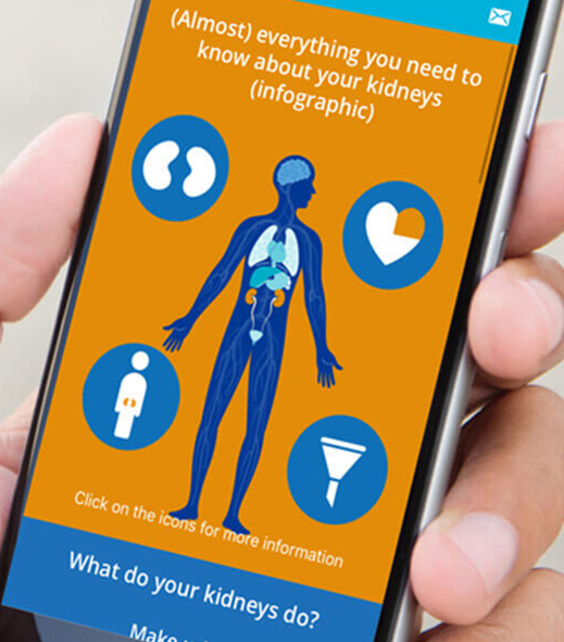Smartphone showing kidney infographic within the Think Kidneys app we developed